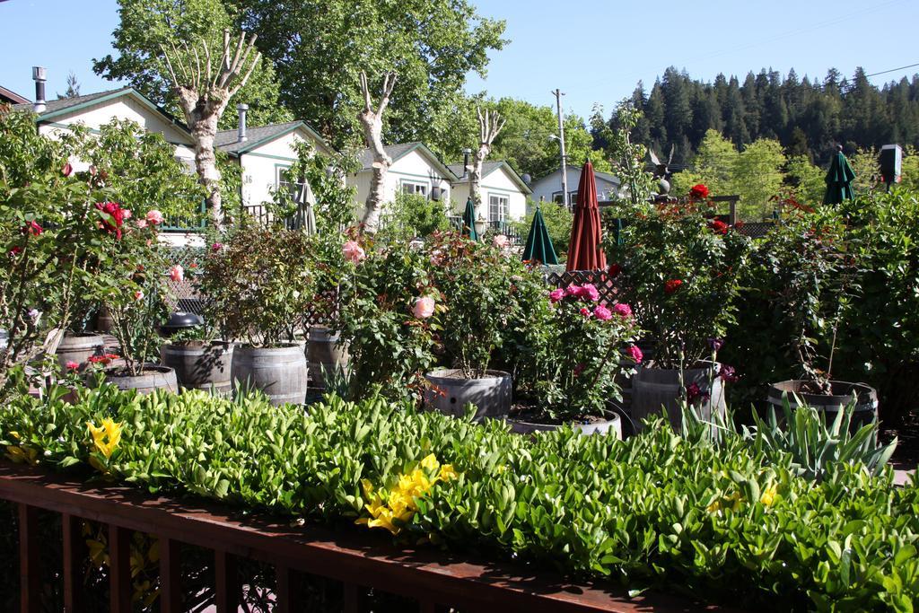 The Woods Hotel - Gay Lgbtq Cabins Guerneville Luaran gambar